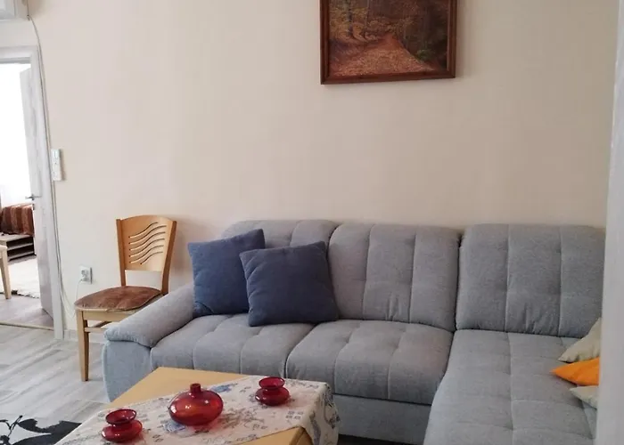 Daire Comfort Near The *