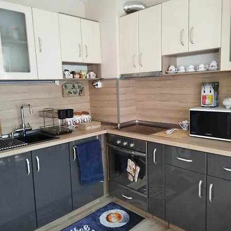 Apartment Comfort Near The