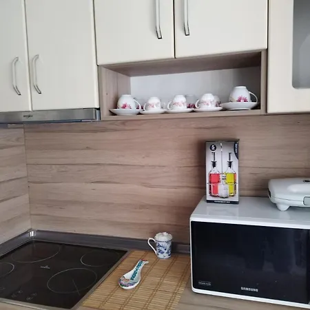 Apartment Comfort Near The