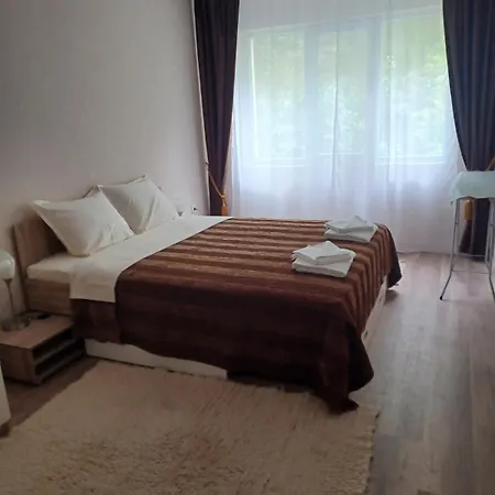 Comfort Near The Apartment *