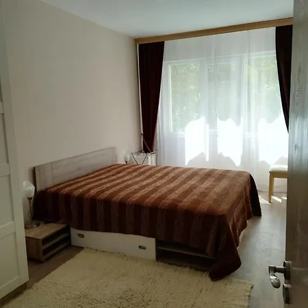 Apartment Comfort Near The