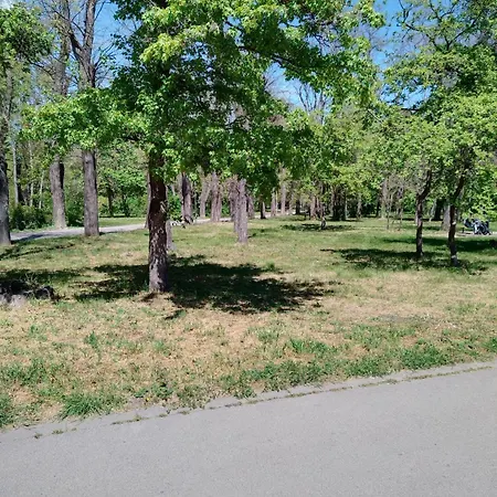 Comfort Near The Apartment Varna