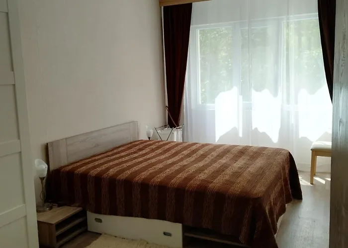 Comfort Near The
